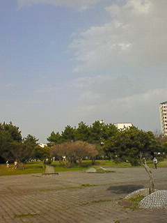 201003211538000.jpg