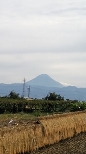 DSC_0200